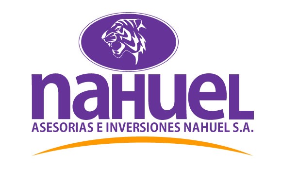 Logotipo AINSA